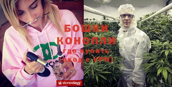 ешки Бронницы