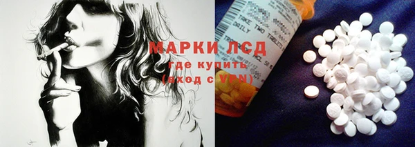 тгк Бородино