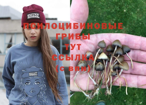 ешки Бронницы