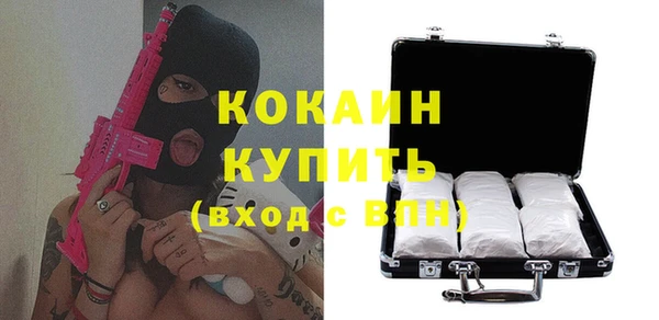 тгк Бородино