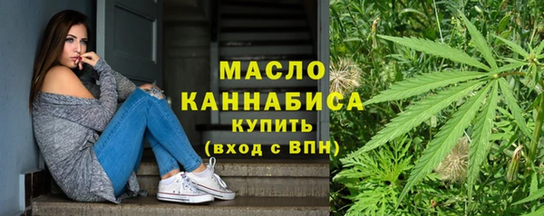 тгк Бородино