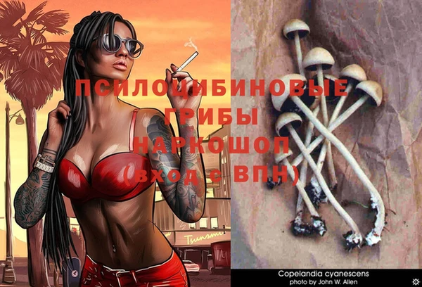 эйфоретик Бугульма