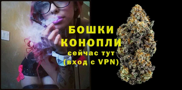 ешки Бронницы
