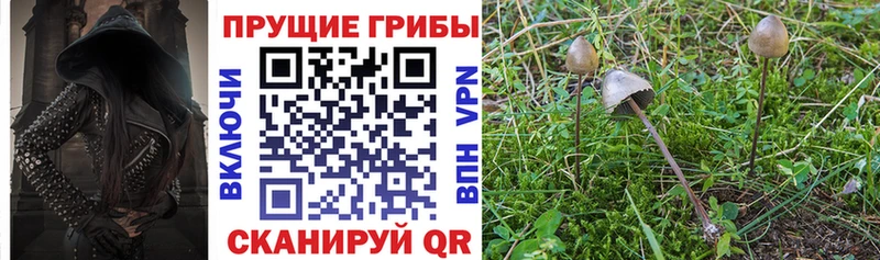 Галлюциногенные грибы мицелий  Купить где  Качканар 