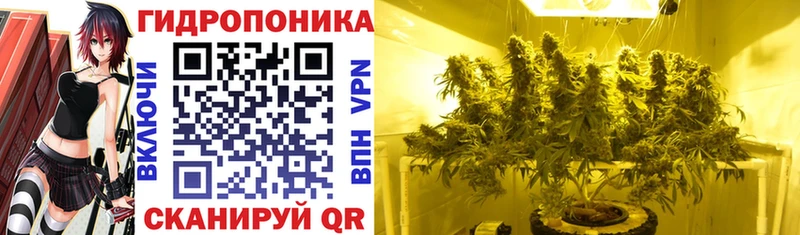 Купить где  Качканар  Конопля ГИДРОПОН 